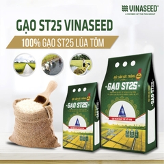Gạo ST25 - Vinaseed (túi 5kg) gạo chuẩn từ giống