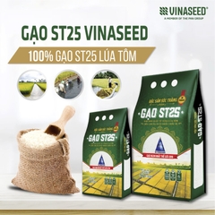 Gạo Vinaseed ST25 túi 5kg, Gạo ngon giống chuẩn