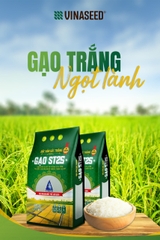Gạo ST25 - Vinaseed (túi 5kg) gạo chuẩn từ giống