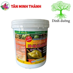 Phân nuôi trái Sâu Riêng 16-16-16-5S+TE -  Lớn trái, lớn múi, sáng trái, đẹp màu, vàng cơm, tăng độ ngọt
