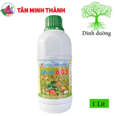603 Super Đầu Bò - Thuốc ra rễ, tăng hoa, đậu trái, to trái