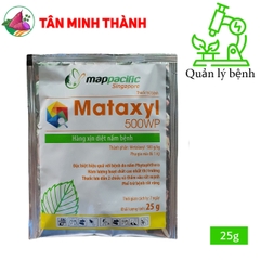 Mataxyl 500WP - Thuốc trừ bệnh vàng rụng lá, sương mai, thối trái, phấn trắng, héo nhan, loét sọc mặt cạo