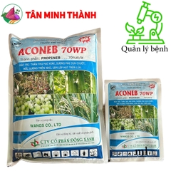 Aconeb 70WP - Thuốc đặc trị thán thư, sương mai, mốc sương, lem lép hạt