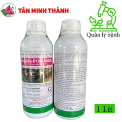 Agri Fos 400SL - Thuốc phòng nứt thân, xì mủ sầu riêng, lỡ cổ rễ, khô cành