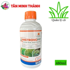 Anstrong Plus 600OD - Thuốc trừ cỏ lòng vực, cỏ đuôi phụng, cỏ chác lác