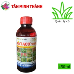 Antaco 500EC - Thuốc trừ cỏ diệt mầm cho khoai lang, ngô, mía, sắn, lạc, hành, khoai mì, khoai môn