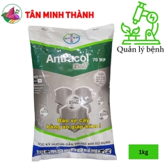 Antracol 70WP - Thuốc trừ bệnh thán thư, khô vằn, mốc xanh, rỉ sắt, suong mai, đốm lá, thối trái