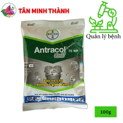 Antracol 70WP - Thuốc trừ bệnh thán thư, khô vằn, mốc xanh, rỉ sắt, suong mai, đốm lá, thối trái