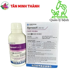 Aproach 250SC - Thuốc trừ bệnh lem lép hạt, đạo ôn, khô vằn, thán thư