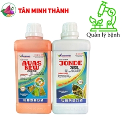 Avas New 260SC + Jonde 3SL - Thuốc đặc trị đạo ôn, cháy bìa lá, đốm lá