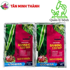 Banking 110WP - Thuốc đặc trị vi khuẩn bệnh chết nhanh, héo xanh, thán thư