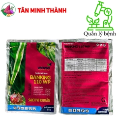 Banking 110WP - Thuốc đặc trị vi khuẩn bệnh chết nhanh, héo xanh, thán thư