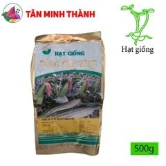 Bắp Nếp FUTURE 16 - Hạt giống Đồng Tiền Vàng