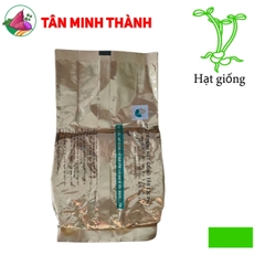 Bắp Nếp FUTURE 16 - Hạt giống Đồng Tiền Vàng
