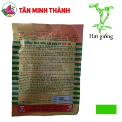 Bắp Nếp MX10 - Hạt Giống Cây Trồng Miền Nam