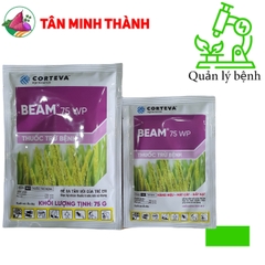Beam 75WP - Thuốc đặc trị đạo ôn lá, đạo ôn cổ bông