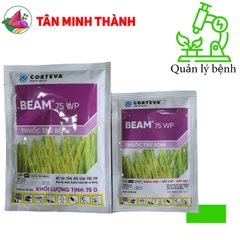 Beam 75WP - Thuốc đặc trị đạo ôn lá, đạo ôn cổ bông