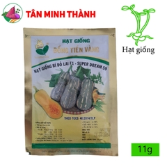 Bí Đỏ Hồ Lô SUPER DREAM 59 - Hạt giống Đồng Tiền Vàng