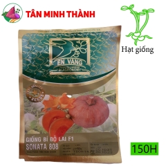 Bí Đỏ Tròn SONATA 808 - Hạt giống Én Vàng