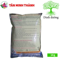Bidamin 15WP - Thuốc kích thích phân hóa mầm hoa, ra hoa đồng loạt, cứng cây, chặn đọt, đứng dây, dày lá