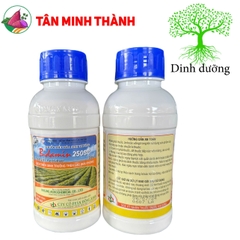 Bidamin 250SC - Thuốc kích ra hoa, cứng cây, thấp cây