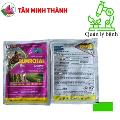 Bumrosai 650WP - Thuốc đặc trị đạo ôn lá, đạo ôn cổ bông, lem lép hạt