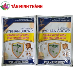 Byphan Mancozeb Vàng 800WP - Thuốc trừ bệnh thán thư, nứt thân, xì mủ, thối trái, thối củ, vàng lá, thối rể, rỉ sắt, sương mai