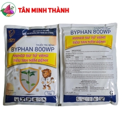 Byphan Mancozeb Vàng 800WP - Thuốc trừ bệnh thán thư, nứt thân, xì mủ, thối trái, thối củ, vàng lá, thối rể, rỉ sắt, sương mai