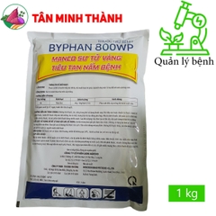 Byphan Mancozeb Vàng 800WP - Thuốc trừ bệnh thán thư, nứt thân, xì mủ, thối trái, thối củ, vàng lá, thối rể, rỉ sắt, sương mai