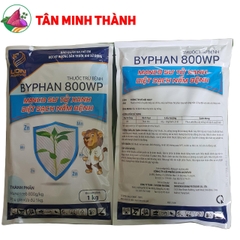 Byphan Mancozeb Xanh 800WP - Thuốc đặc trị bệnh thán thư, rỉ sắt, sương mai, vàng lá, rụng lá, thối trái, nứt thân. xì mủ, sương ma