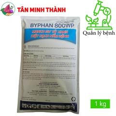 Byphan Mancozeb Xanh 800WP - Thuốc đặc trị bệnh thán thư, rỉ sắt, sương mai, vàng lá, rụng lá, thối trái, nứt thân. xì mủ, sương ma