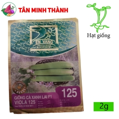 Cà Phổi Xanh VIOLA 125 - Hạt giống Én Vàng