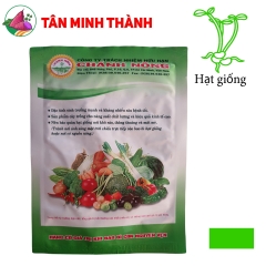 Cải Ngọt Cọng Xanh - Hạt giống Chánh Nông