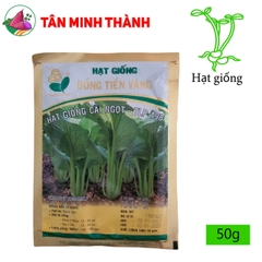 Cải Ngọt TLP 198 - Hạt giống Đồng Tiền Vàng