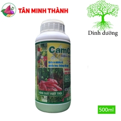 CamCat Super - Thuốc kích ra rễ, chống đỗ ngã, dưỡng hạt, to hạt, chắc hạt, lớn củ, xuôn củ, phân giải hữu cơ