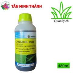 Cantanil 550EC - Thuốc trừ cỏ hậu nảy mầm, đặc trị cỏ chác lác, rau mác bao, cỏ xà bông
