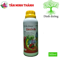 Canxi Bo - Giúp đậu trái, to trái, bóng trái, xuôn trái, to hạt, chống rụng trái, nứt trái, thối trái