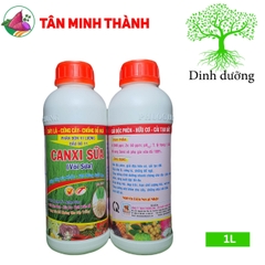 Canxi Sữa Vôi Sữa Đầu Bò 11 - Thuốc bóng trái, đẹp trái, chống sượng trái, cứng cây, hạ phèn, phân giải hữu cơ, cải tạo đất