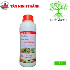 Canxi Sữa Vôi Sữa Đầu Bò 11 - Thuốc bóng trái, đẹp trái, chống sượng trái, cứng cây, hạ phèn, phân giải hữu cơ, cải tạo đất