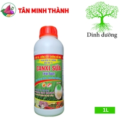 Canxi Sữa Vôi Sữa Đầu Bò 11 - Thuốc bóng trái, đẹp trái, chống sượng trái, cứng cây, hạ phèn, phân giải hữu cơ, cải tạo đất