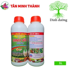 Canxi Sữa Vôi Sữa Đầu Bò 11 - Thuốc bóng trái, đẹp trái, chống sượng trái, cứng cây, hạ phèn, phân giải hữu cơ, cải tạo đất