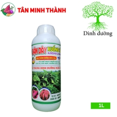 Chặn Dây Xuống Củ Khoai Lang - Thuốc đứng dây, tạo củ, to củ, suôn củ, chắc củ, lớn phì củ, nặng ký, chống thối củ