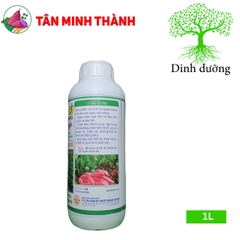 Chặn Dây Xuống Củ Khoai Lang - Thuốc đứng dây, tạo củ, to củ, suôn củ, chắc củ, lớn phì củ, nặng ký, chống thối củ