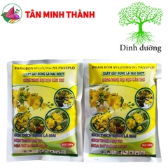 Chất Rụng Lá Mai Vàng Đại Học Cần Thơ - Kích thích nụ to, hoa nở đồng loạt, mai vàng nhiều hoa