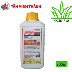 Co Chay 200SL Nước Vàng - Thuốc trừ cỏ sau 2 giờ phun, cỏ cháy không chọn lọc, cỏ tranh, cỏ mần trầu, cỏ chỉ, cỏ mắc cở, cỏ lông gà