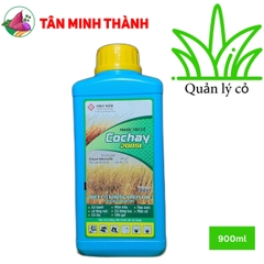 Co Chay 200SL Nước Xanh - Thuốc cỏ cháy, diệt cỏ sau 2 giờ phun, không chọn lọc, cỏ tranh, cỏ mần trầu, cỏ chỉ, cỏ mắc cở, cỏ lông gà