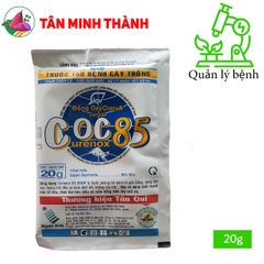 Coc 85wp gốc Đồng - Thuốc trừ bệnh thán thư, nấm hồng, héo cây con, héo nhanh, vàng lá, đốm lá