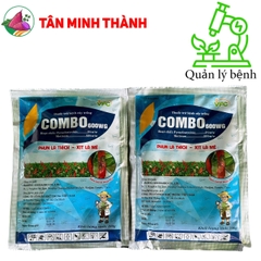 Combo 600WG - Thuốc đặc trị thán thư, chết cây con