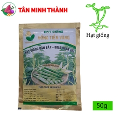 Đậu Bắp GOLD STAR 204 - Hạt giống Đồng Tiền Vàng