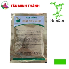 Đậu Bắp GOLD STAR 204 - Hạt giống Đồng Tiền Vàng